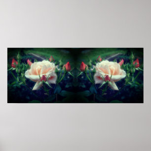 Poster Dreamy Peach Rosa E Buds Mirror Abstrato