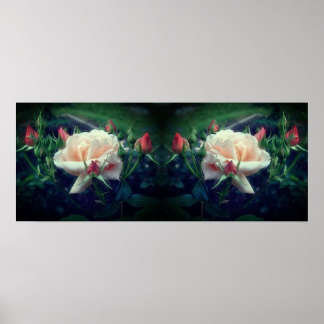Poster Dreamy Peach Rosa E Buds Mirror Abstrato (Frente)