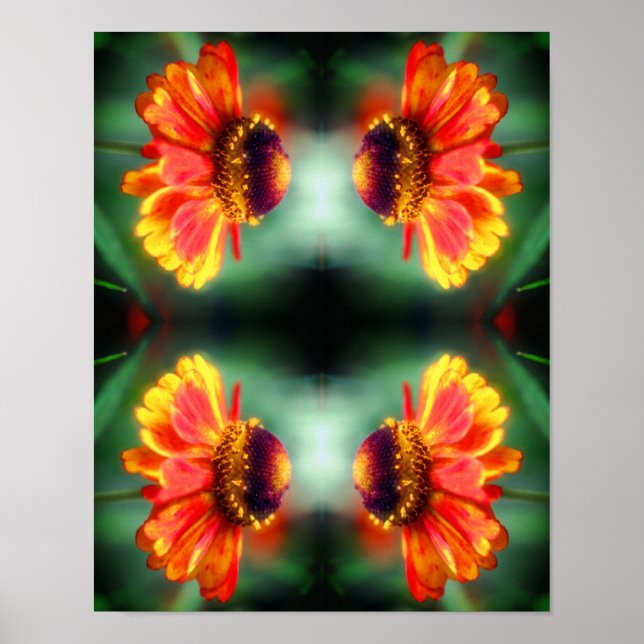 Poster Dreamy Zinnia Flower Abstrato Art (Frente)