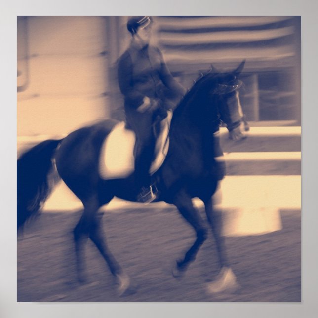 Poster Dressagem (Frente)