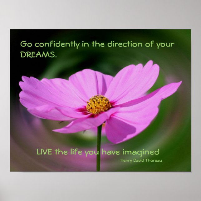 Póster Drew Cota Cosmos Flower Inspirational (Frente)