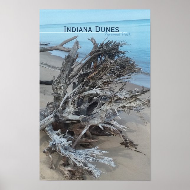 Poster Driftwood Indiana Dunes National Park Posto Magnet (Frente)