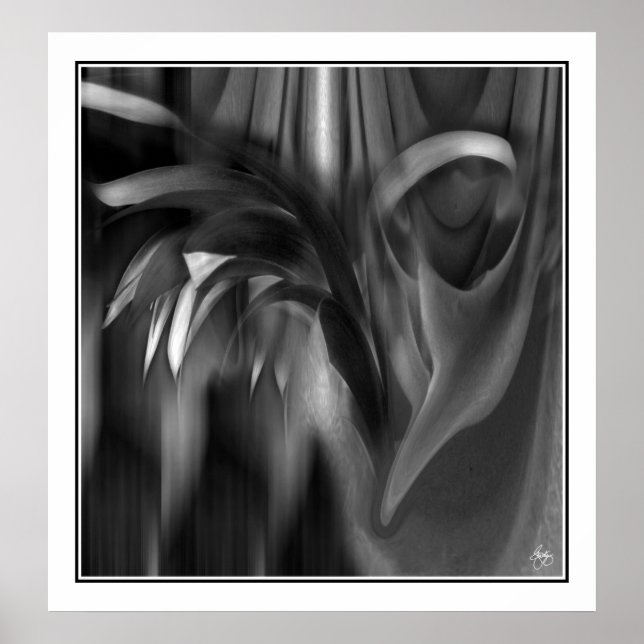 Poster Drill para Formulário (Frente)