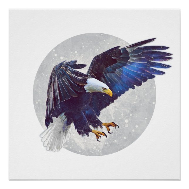 Póster Drone da Natureza (Frente)