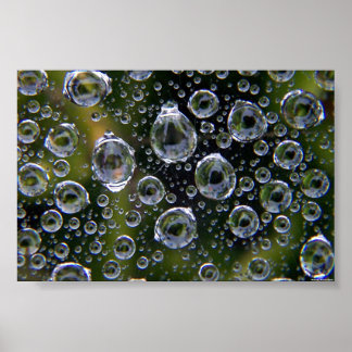 Póster Droplets da teia