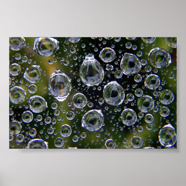 Póster Droplets da teia (Frente)