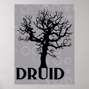 Póster Druid