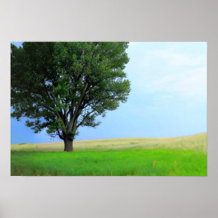 Póster Dry Storm Sobre Oklahoma Grasslands III (Col. Sat)