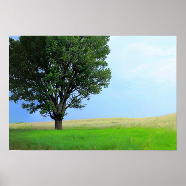 Póster Dry Storm Sobre Oklahoma Grasslands III (Col. Sat) (Frente)