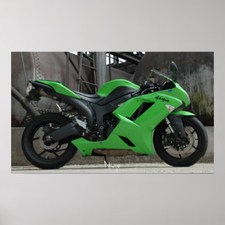 Póster DSC_0062, Ninja