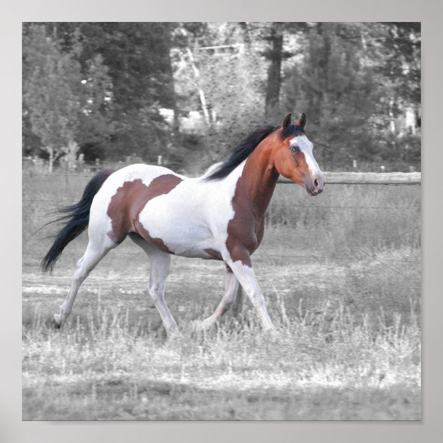 POSTER DSC_0110 (Frente)