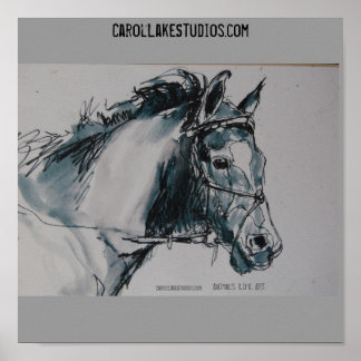 Poster DSC_0462, Animais. A vida. Arte CarolLakeStudio...