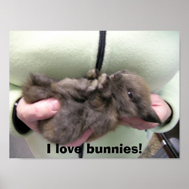 Póster DSCN0356, adoro coelhos! (Frente)
