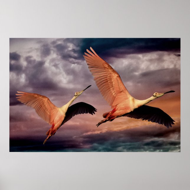 Poster Duas Aves (Frente)