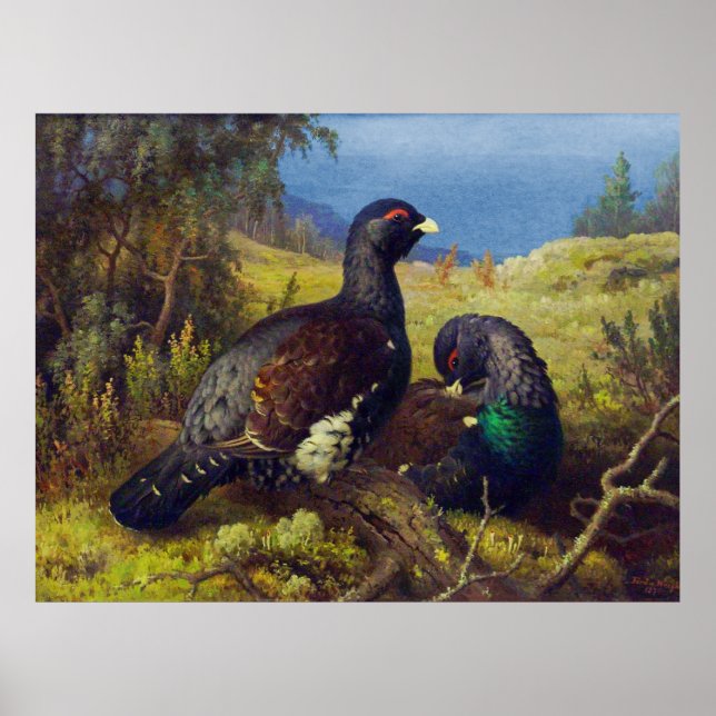 Poster Duas Belas Aves (Frente)