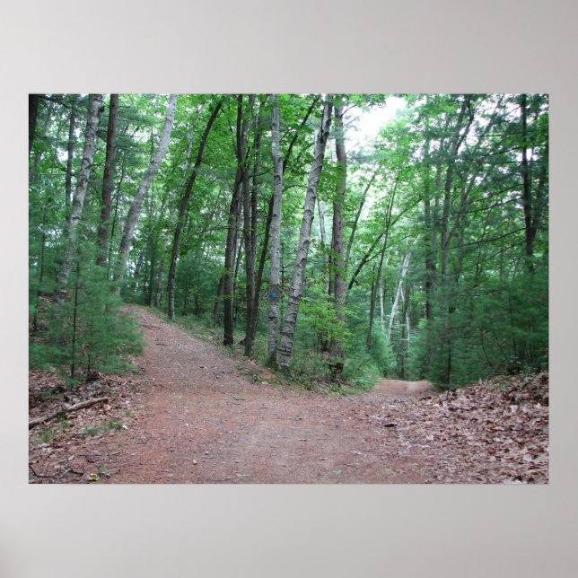 Póster Duas Estradas Desviam Em Madeira Amarela (Frente)