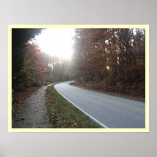 Poster Duas Estradas Divergem....