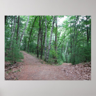 Póster Duas estradas divergiram em uma madeira amarela