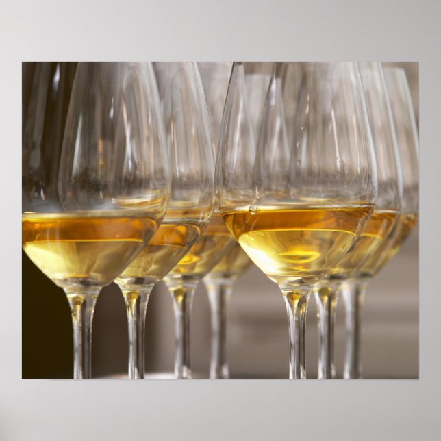 Poster duas filas de óculos de provando de vinho com lúci (Frente)
