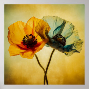 Poster Duas Flores