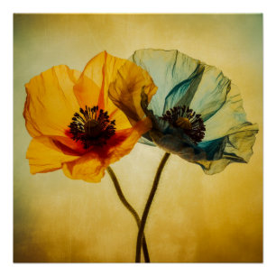 Póster Duas Flores
