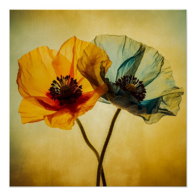 Póster Duas Flores (Frente)