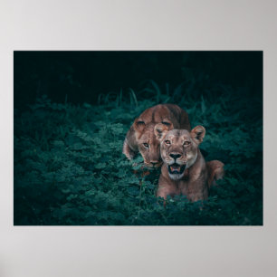 POSTER DUAS LONGAS EM PLANTAS VERDES