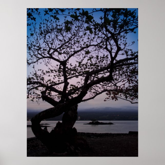 PÓSTER DUAS LUZES NO HILO BAY HAWAII (Frente)