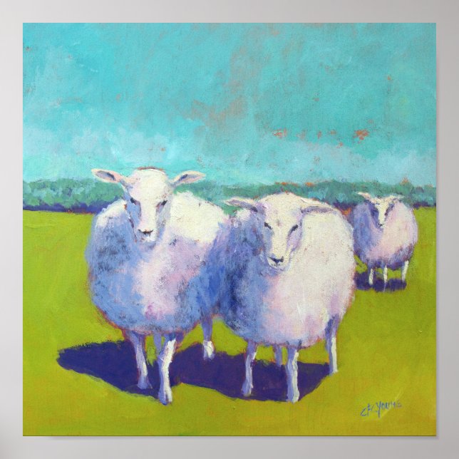Poster Duas Ovinos No Campo (Frente)