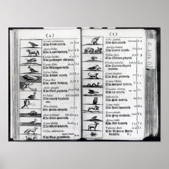 Póster Duas páginas de 'Orbis Sensualium Pictus' (Frente)