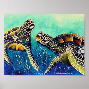 Póster duas tartarugas