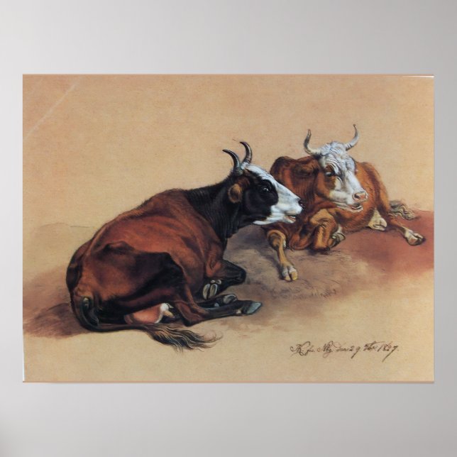 POSTER DUAS VACAS MENTINDO (Frente)