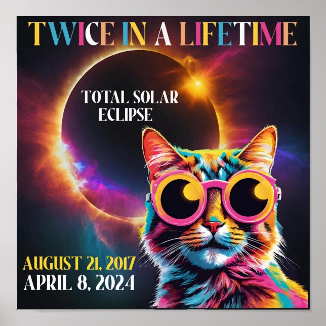 Poster Duas Vezes Na Vida Total Eclipse Solar 2024 Engraç (Frente)