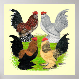 Póster D'Uccles Four Roosters