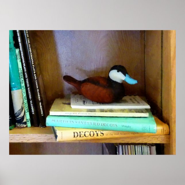 Póster Duck Decoy em Bookshelf (Frente)