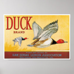 Poster Duck Lemon San Dimas Los Angeles County California