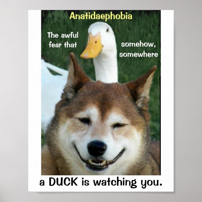 Poster Duck Shiba Inu Dog Anatidaephobia Foto Engraçado (Frente)
