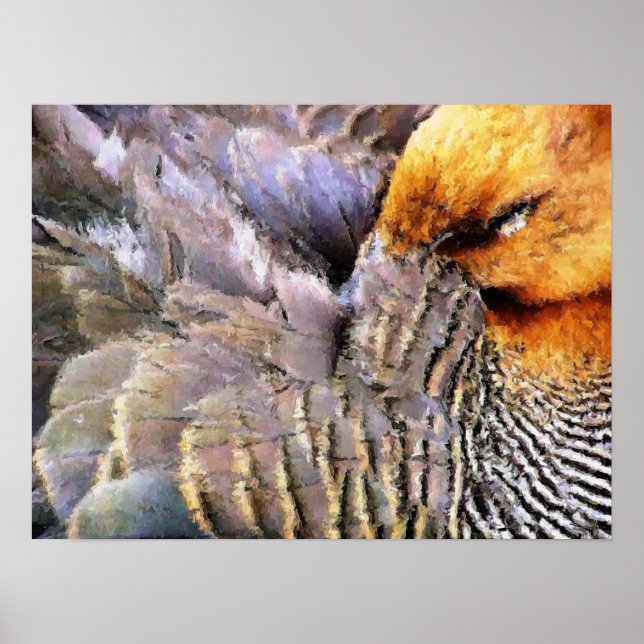 POSTER DUCKS (Frente)