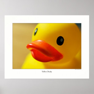Póster Ducky Amarelo