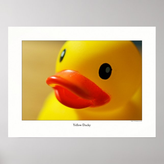 Póster Ducky Amarelo (Frente)