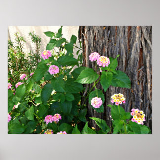 Poster Duet Springtime