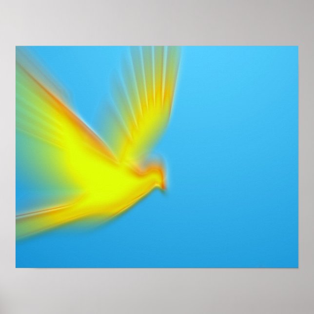 Póster duif 03 (Frente)