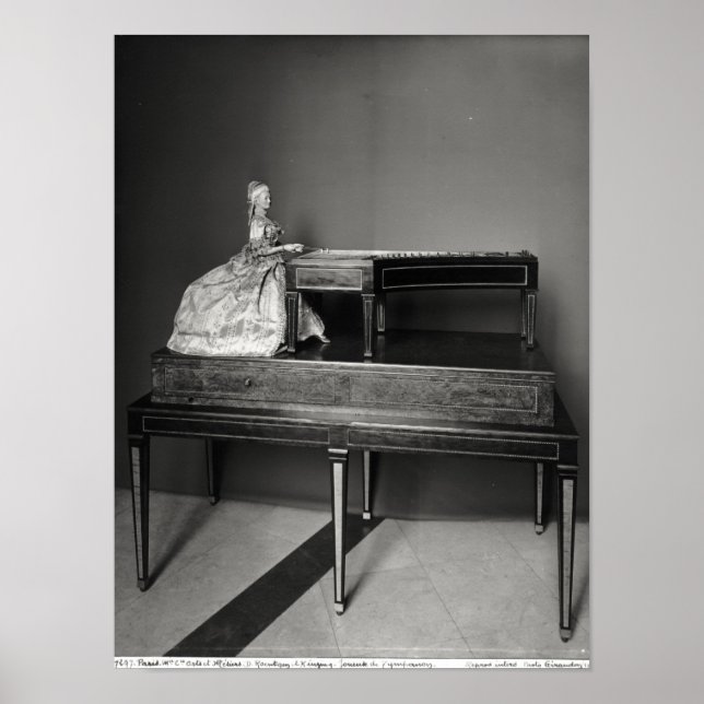 Póster Dulcimer Player (Frente)