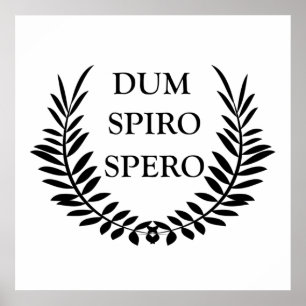 Poster dum espiro spero, frase latina