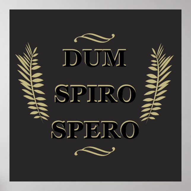 Poster Dum spiro spero (Frente)