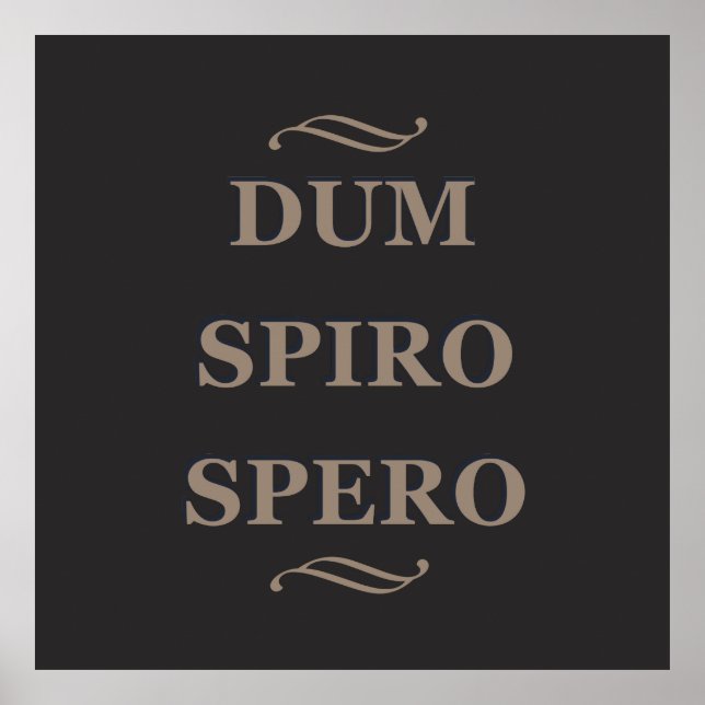 Poster Dum spiro spero (Frente)
