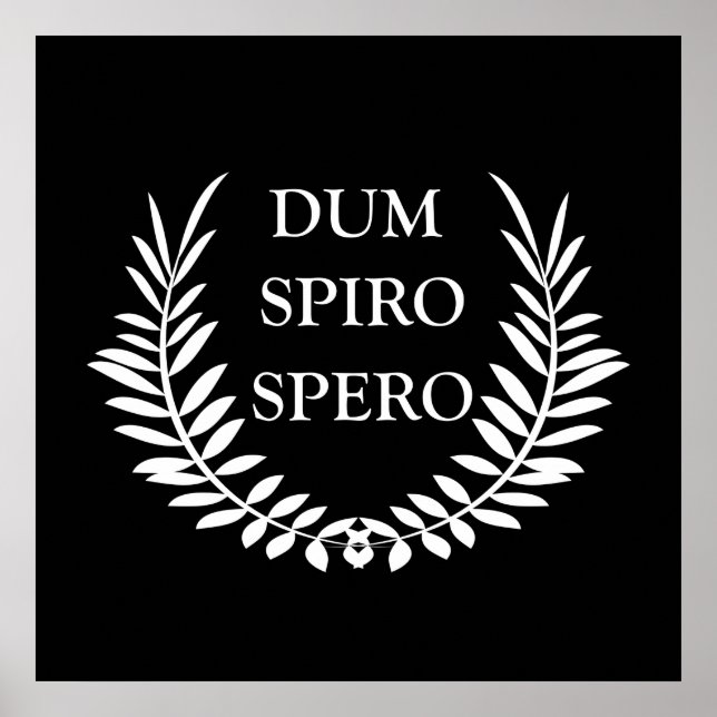 Poster dum spiro spero (Frente)
