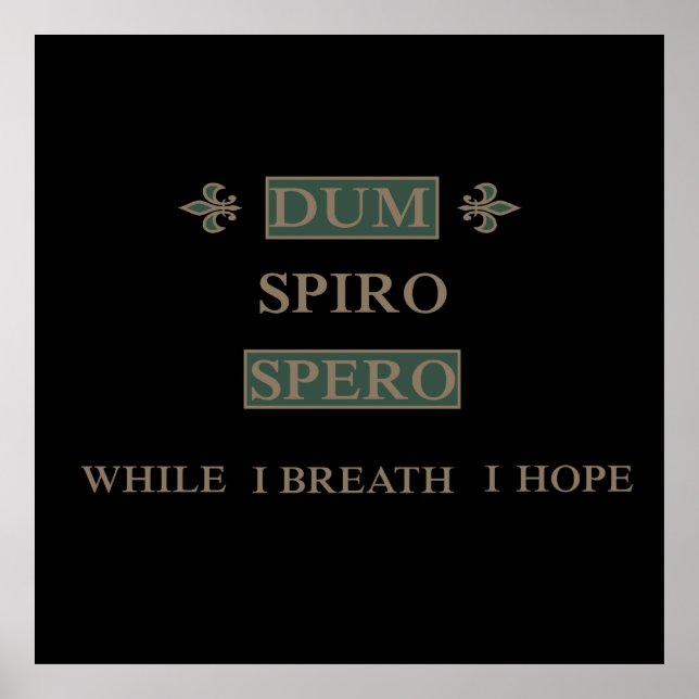 Poster Dum spiro spero (Frente)