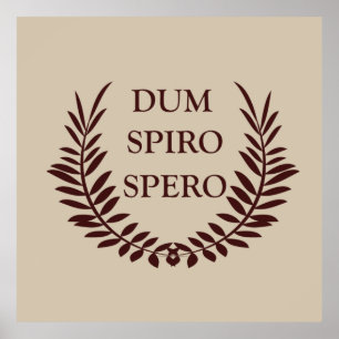Poster Dum spiro spero