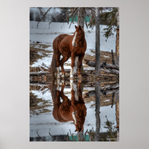 Póster Dun Ranch Horse Em Foto De Equino De Buraco Bebend